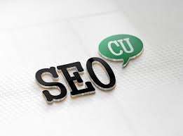 Web Seocu